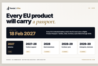 DPP timeline