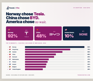 Global EV adoption ranking 2025