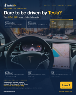 Tesla FSD visual